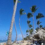 Cafetería- Milenario